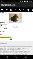 RichEditor for Android Demo