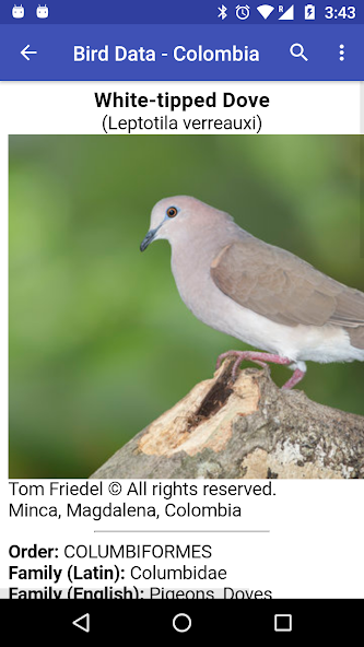 Bird Data - Colombia