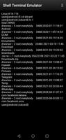 Shell Terminal Emulator