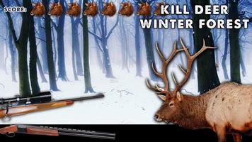 Kill Deer Forest Winter