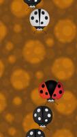 Ladybird Piano Tiles