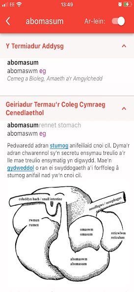 Ap Geiriaduron Cymraeg/Welsh