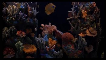 Aquarium HD