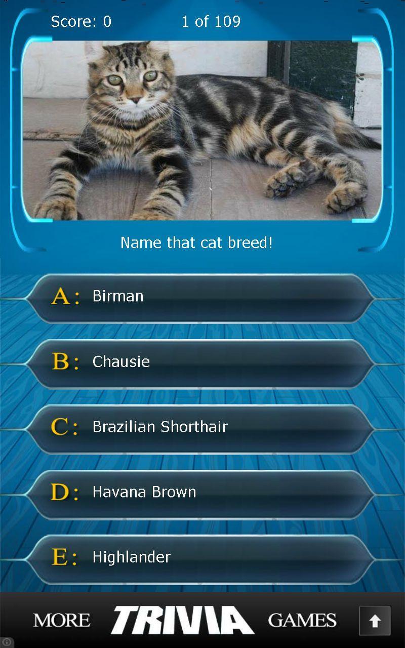 Name that Cat Breed Trivia