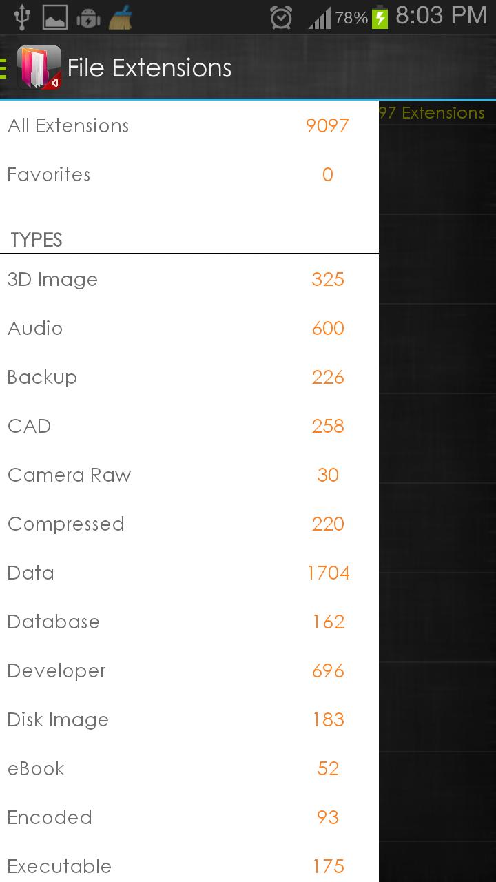 File Extensions