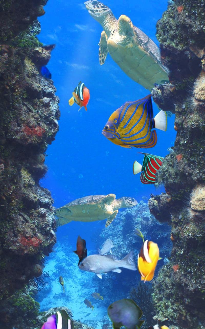 Aquarium