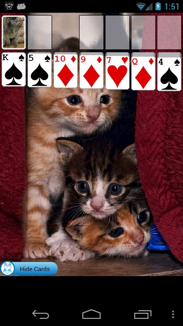 Kitten Solitaire