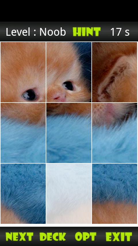 Kitten Sliding Puzzle