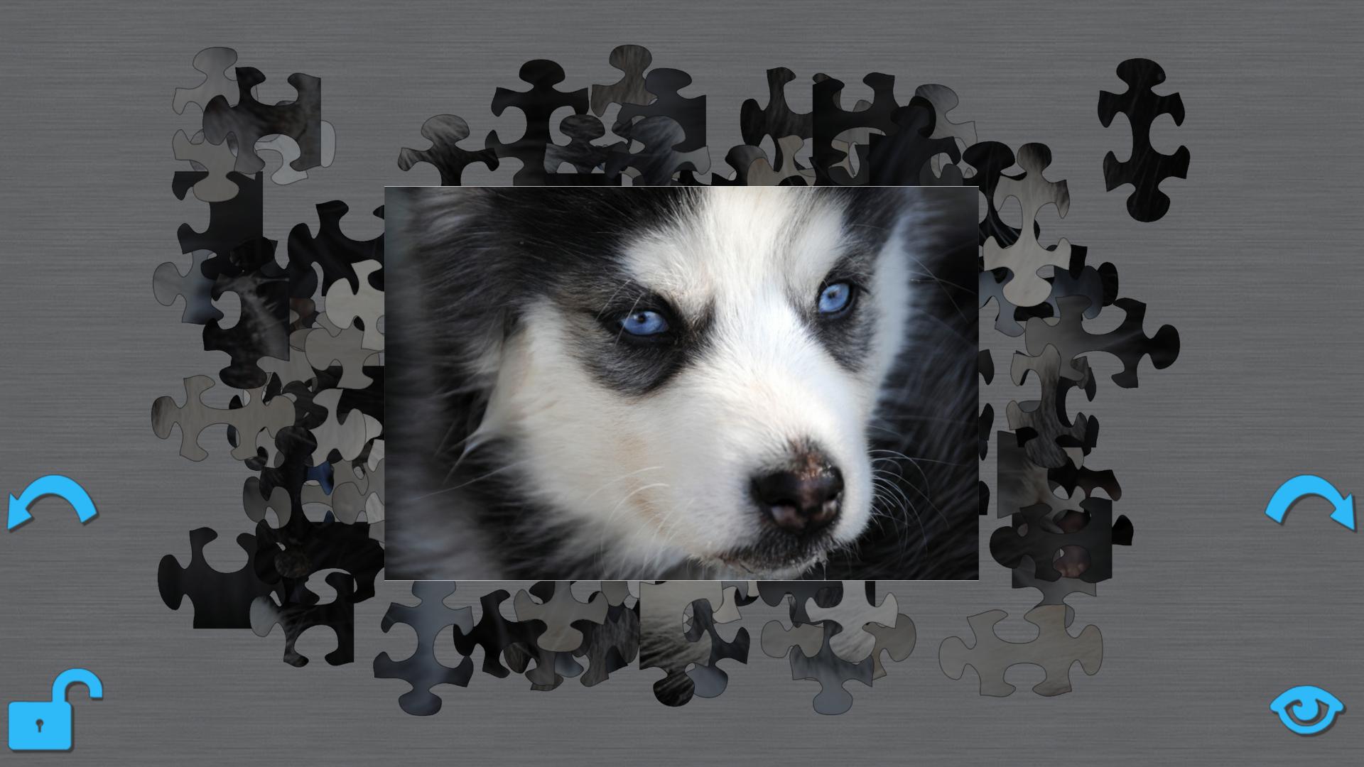 Puppies Puzzle