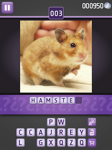 Animals Quiz (Picture Quiz)