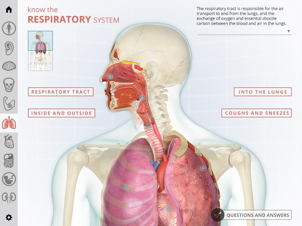 i-Wow Atlas Human Body