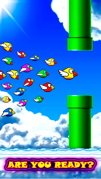 Fun Birds Game - Angry Smash