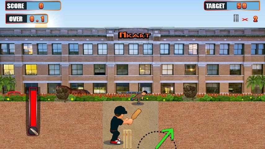 Gully Cricket Pro