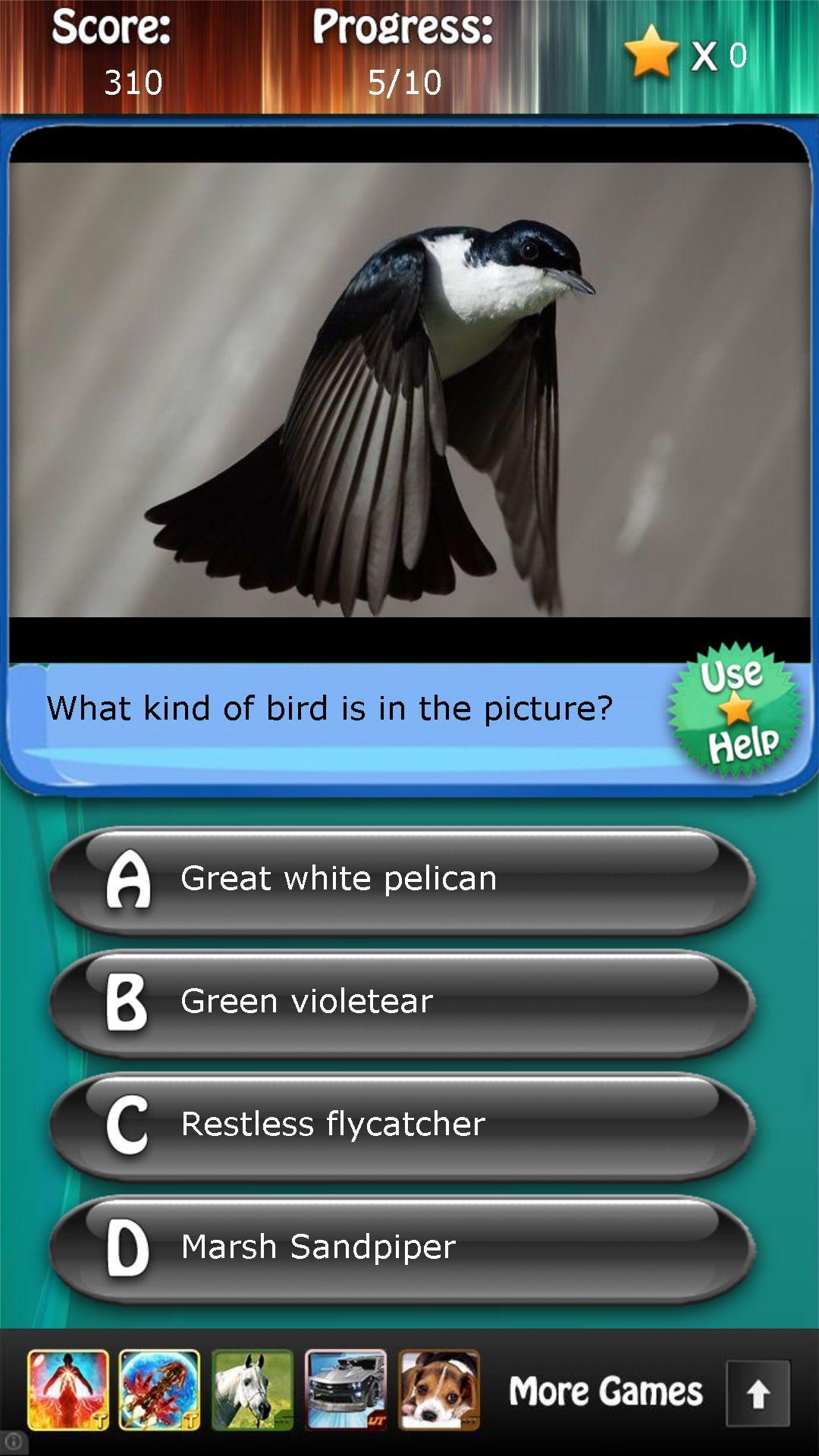 Bird Species Quiz HD