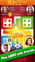 Ludo Pro