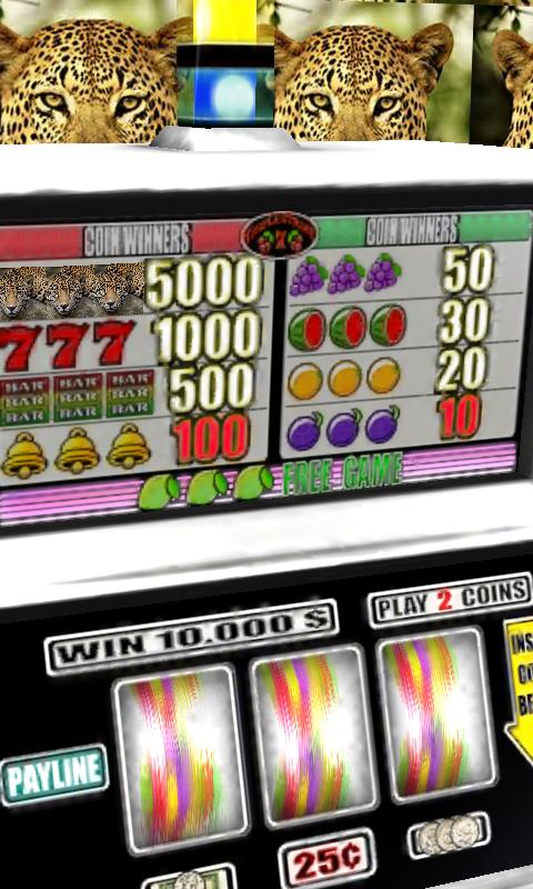 Leopard Slots - Free