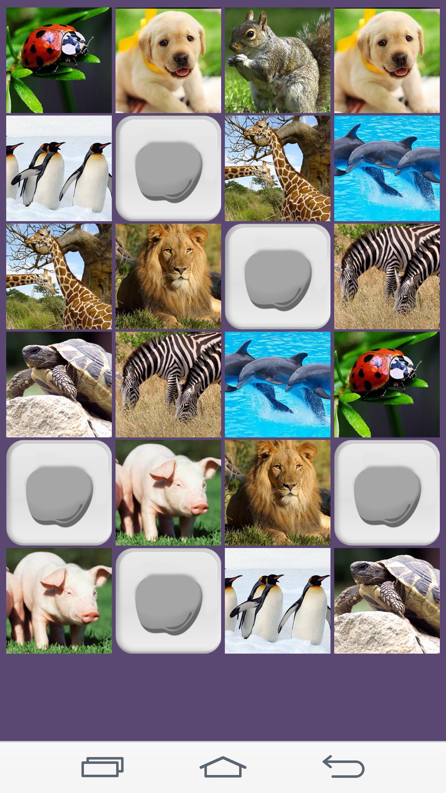 Animal Memory Game