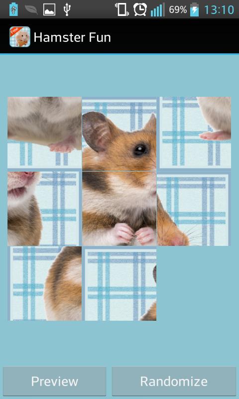 Hamster Games