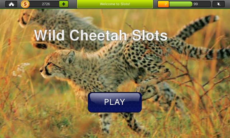 Wild Cheetah Slots