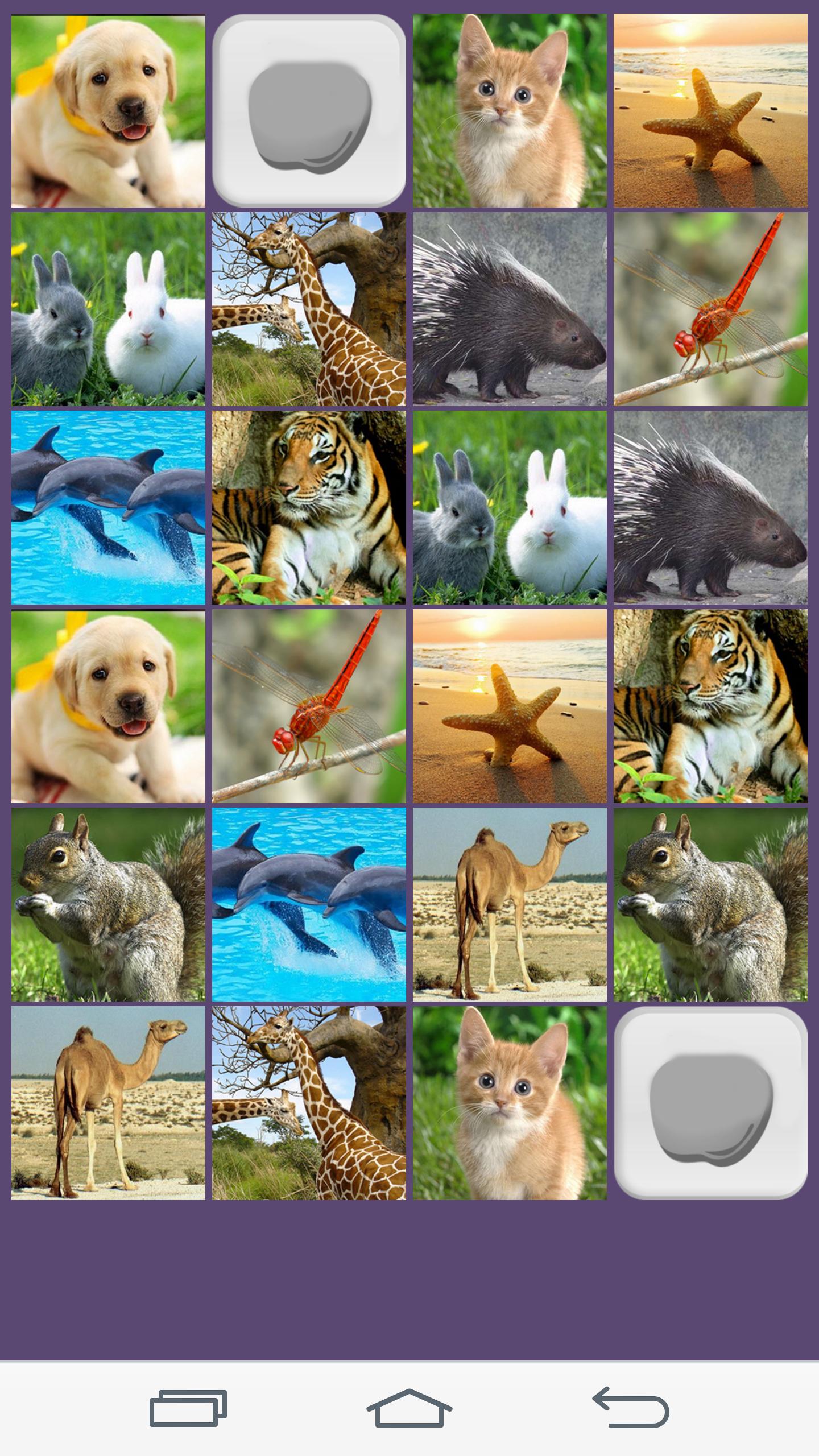 Animal Memory Game