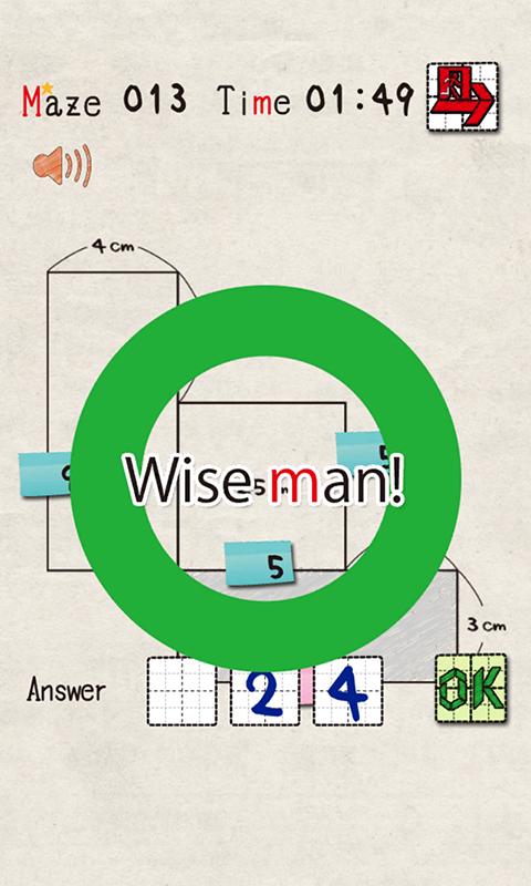 Area Maze Puzzle