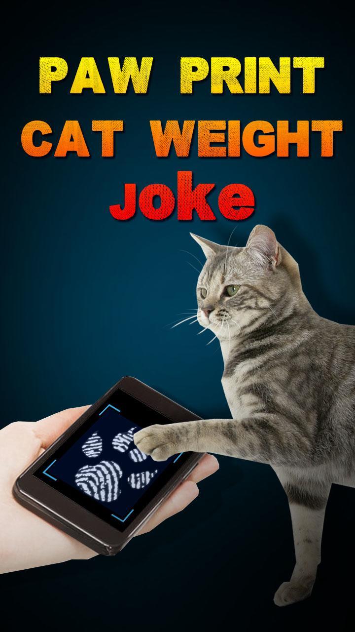 Paw Print Cat Weight Joke