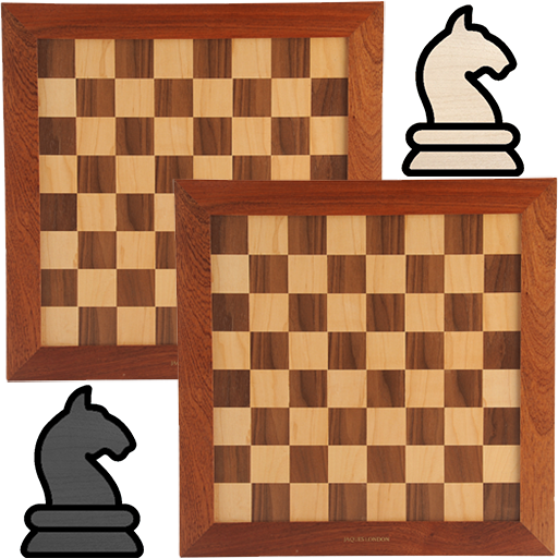 Bughouse Chess