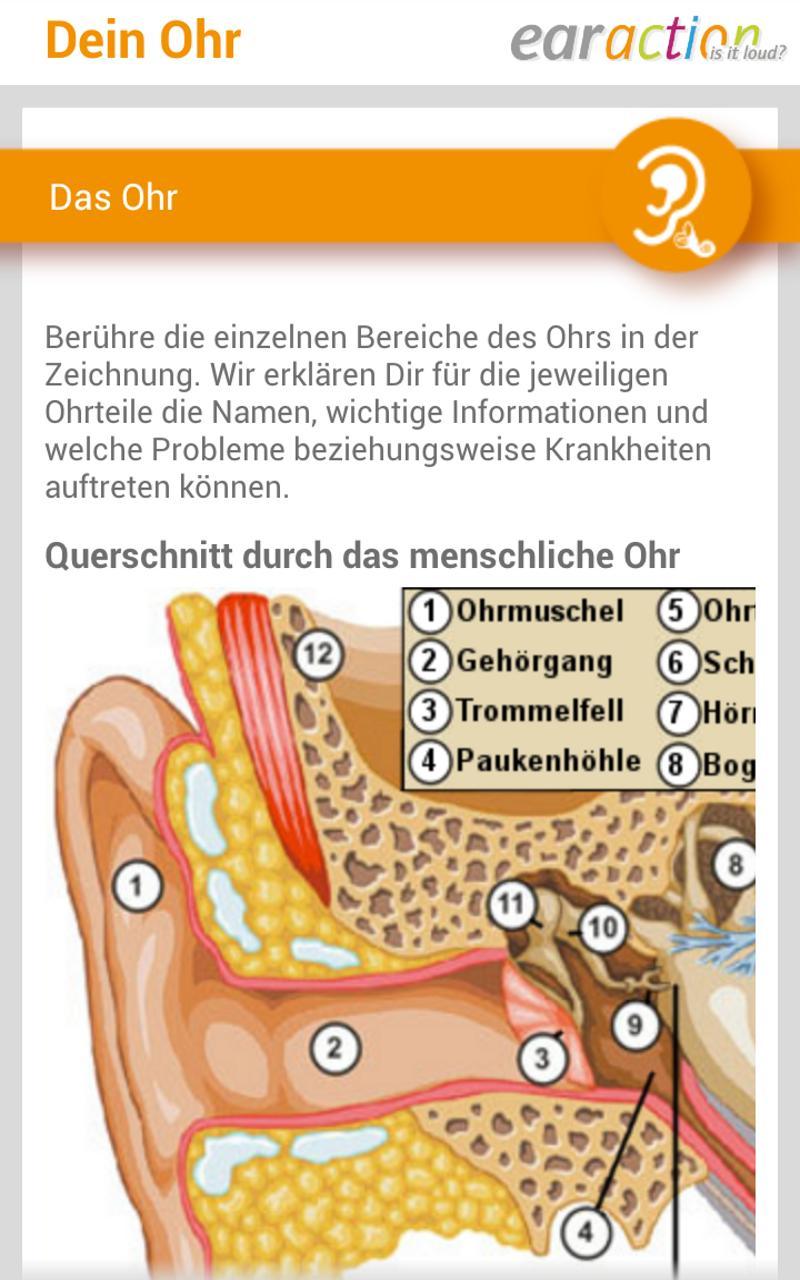 earaction