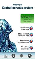 Anatomy Star - CNS (the Brain)