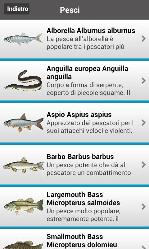 Pesca nelle acque dolci Lite