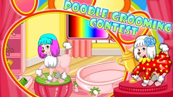 Poodle Beauty Contest