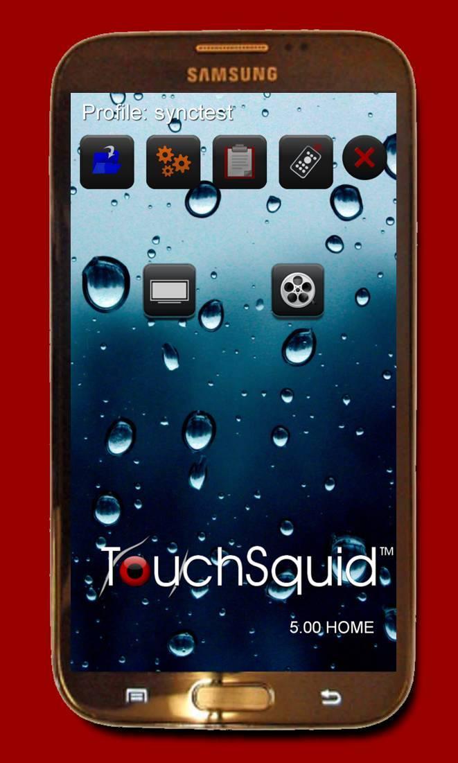 Touchsquid Remote