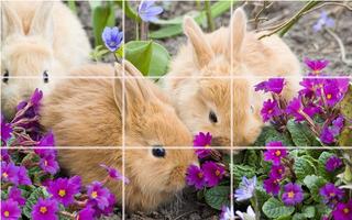 Puzzle - Cute bunnies