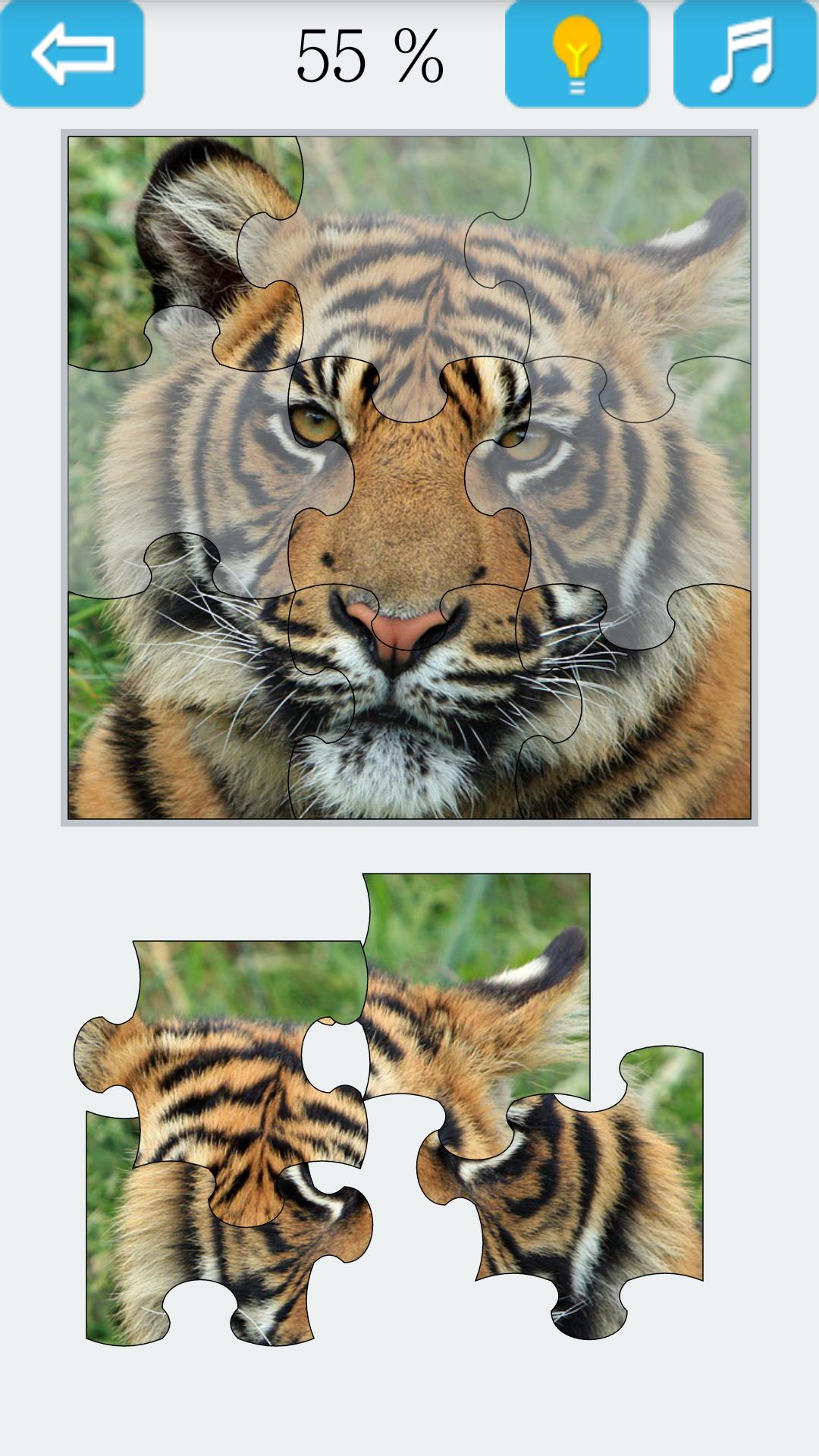 Jigsaw Puzzle: Tiger