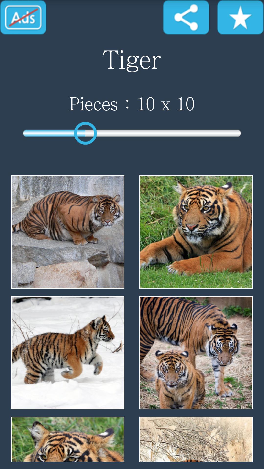 Jigsaw Puzzle: Tiger