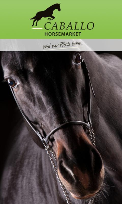 Caballo Horse Market
