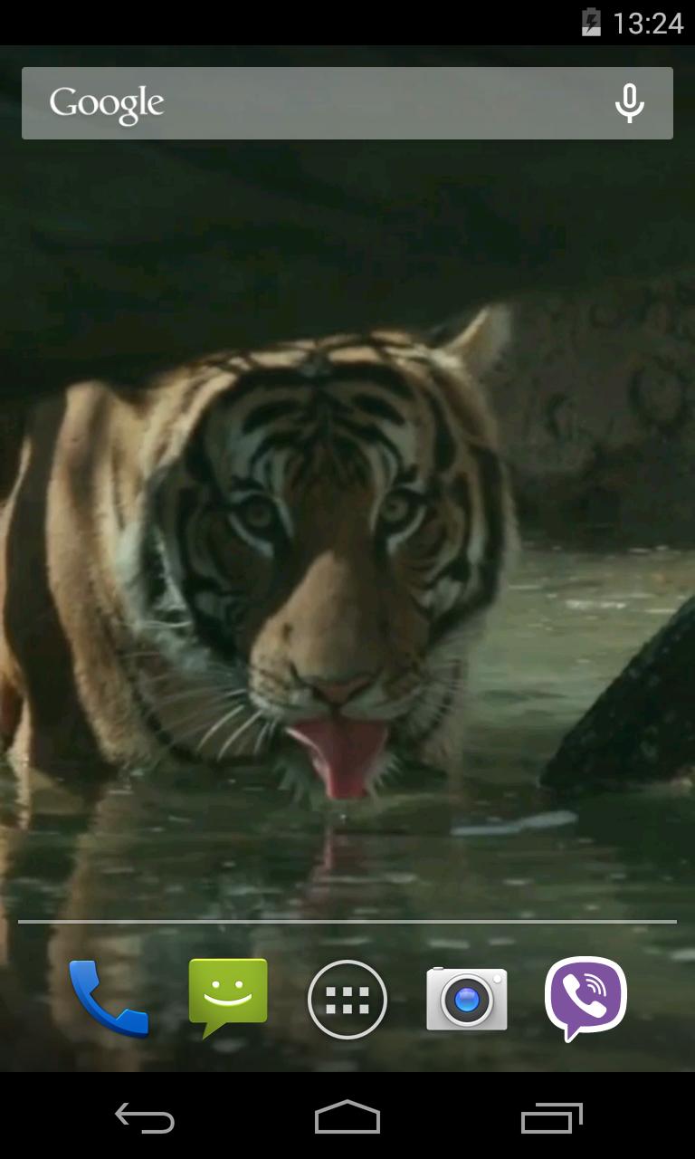 Tiger