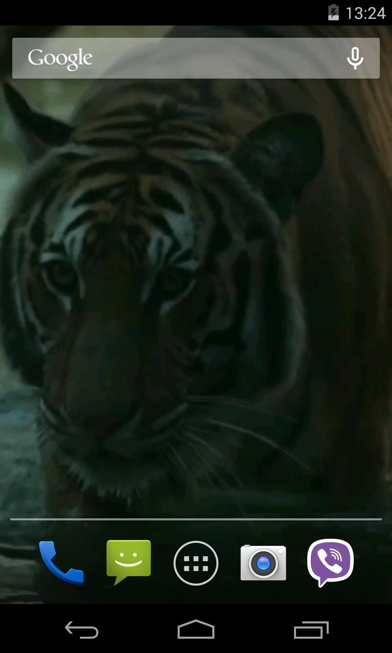 Tiger