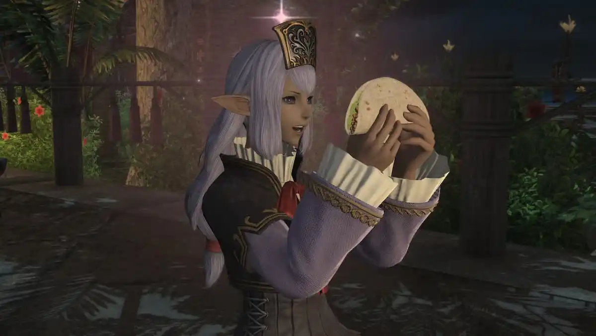 ffxiv：Vana'diel的迴聲使我懷舊，我什至不玩FFXI