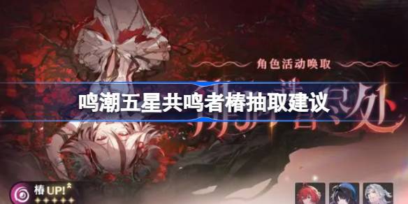 鳴潮五星共鳴者椿要不要抽