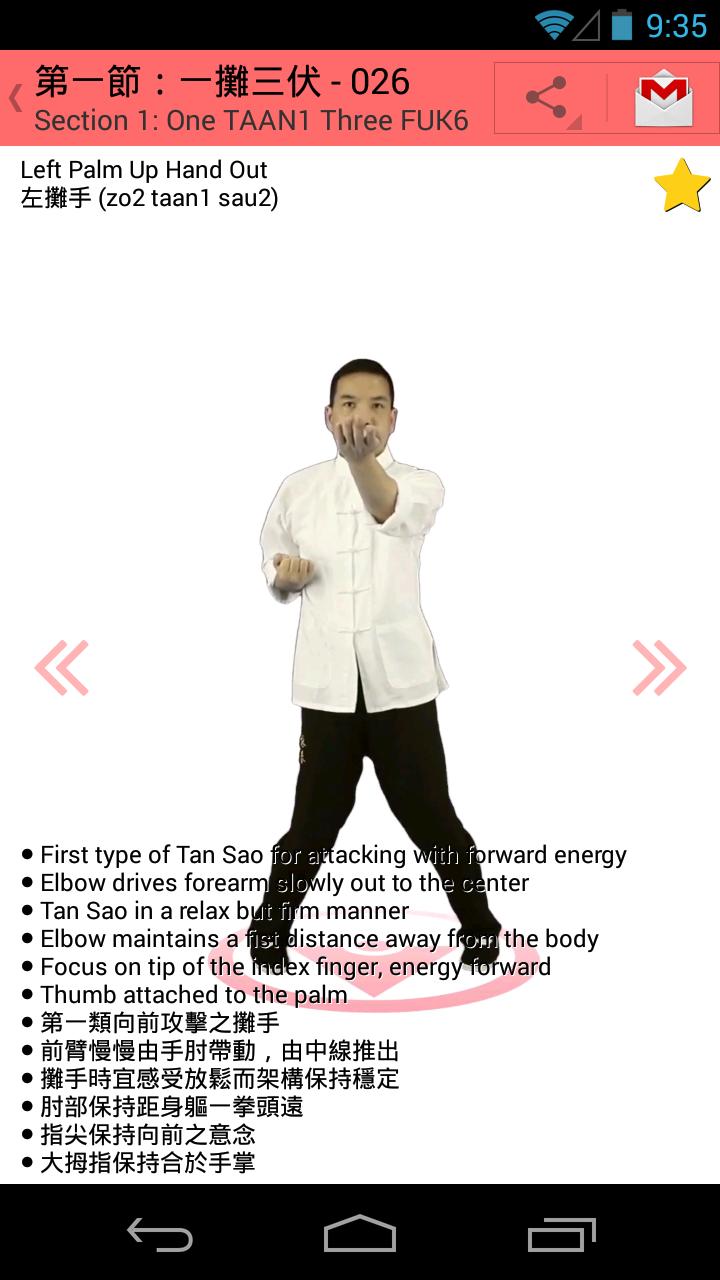 Wing Chun Siu Nim Tau Notes
