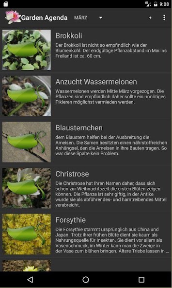 Garden Agenda