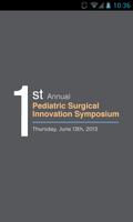 PSI 2013