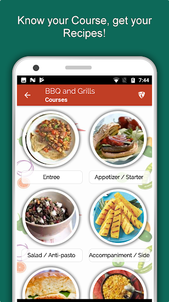 Barbecue Grill Recipes Offline