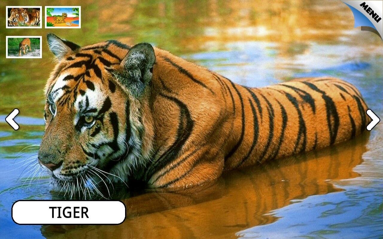 Kids Animals Farm and Zoo Free