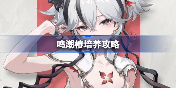 Mingchaochun cultivation strategy
