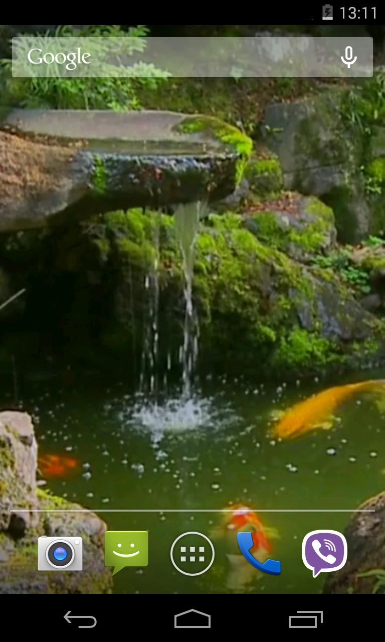 Pond with Koi Live Wallpaper