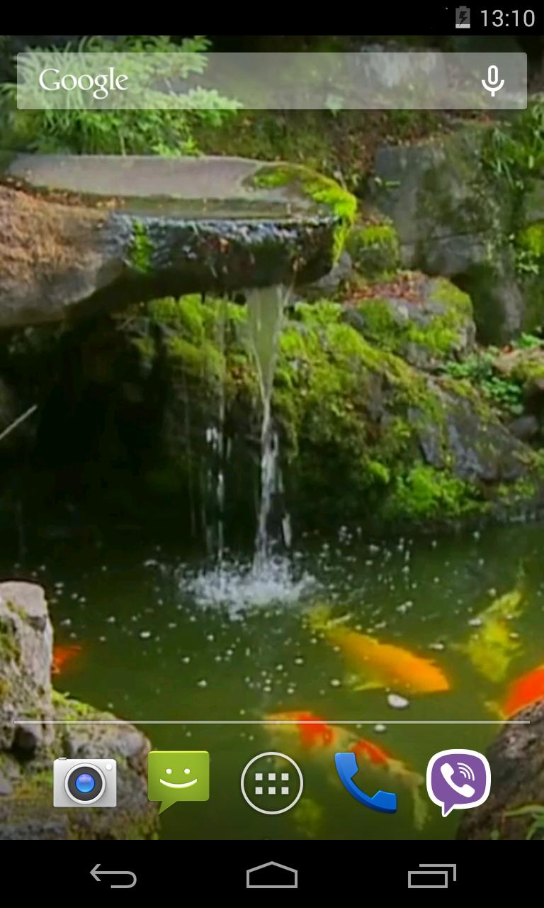 Pond with Koi Live Wallpaper