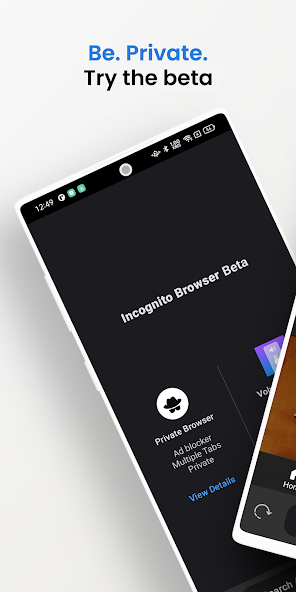 Private Browser - Beta