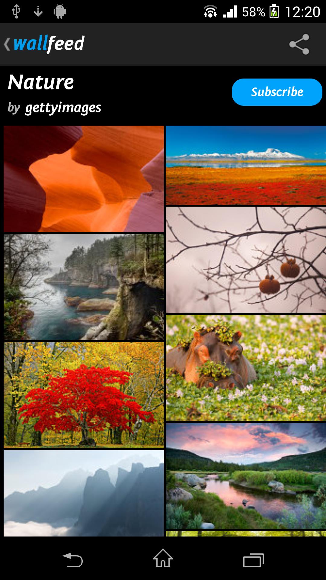 Wallfeed